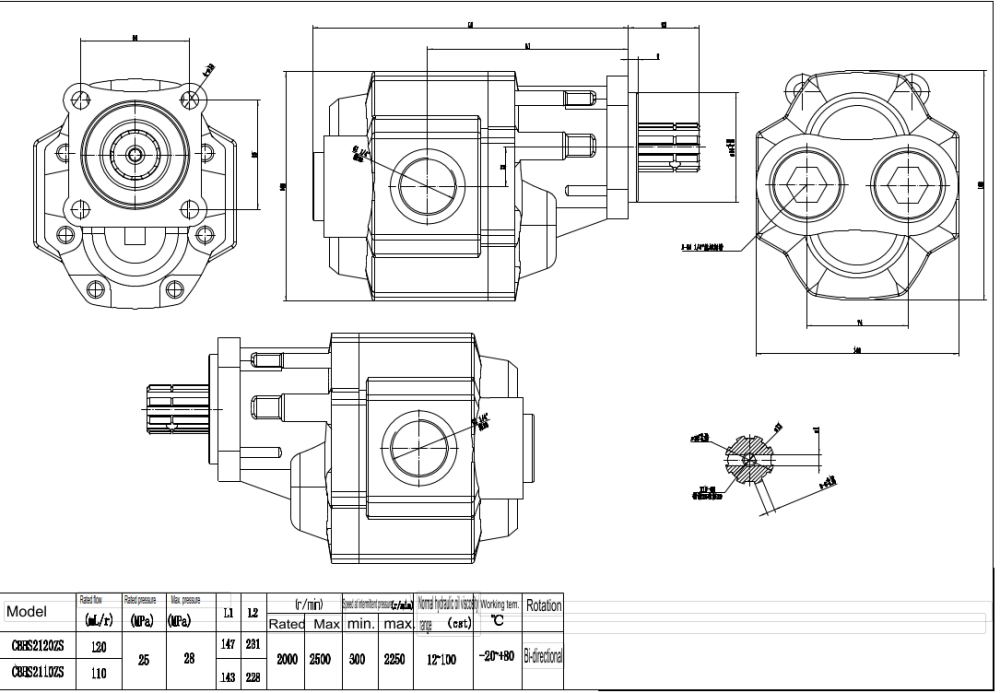 CBHST1-ISO-110 110 cc/rev Hydraulic Gear Pump drawing image