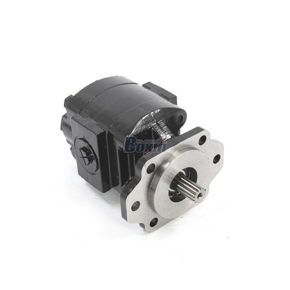 Boxinhuasheng P21A646JEAL20-25 64.6 cc/rev 16 MPa (2320 psi) Hydraulic Gear Pump
