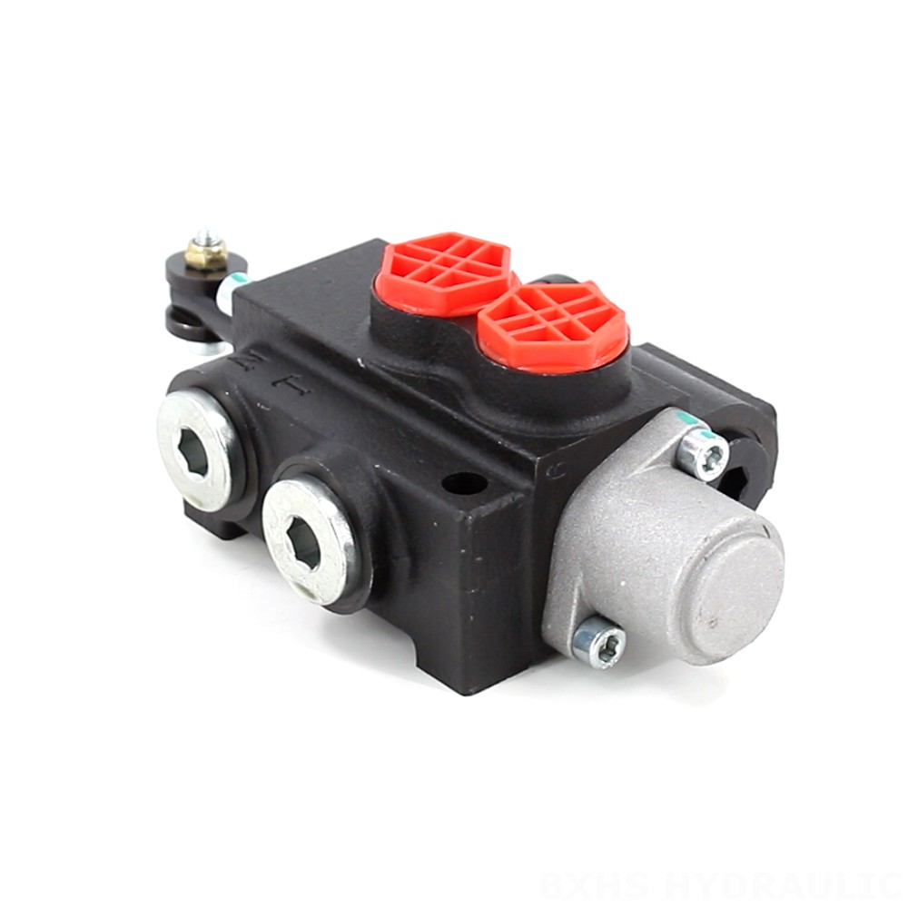 P40-201 Manual 1 Spool Monoblock Directional Valve image
