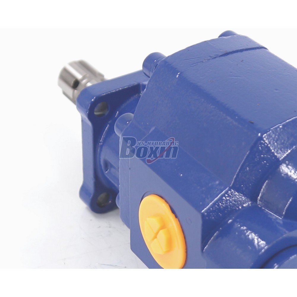 Custom OEM ODM Services for CBHST1-110-KZ 110 cc/rev Hydraulic Gear Pump Manufacturing detail image