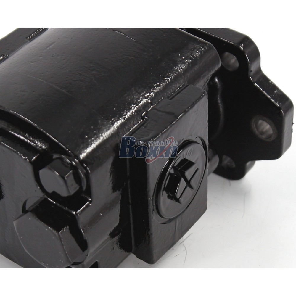Factory Direct Supply P21A646JEAL20-25 64.6 cc/rev Hydraulic Gear Pump detail image
