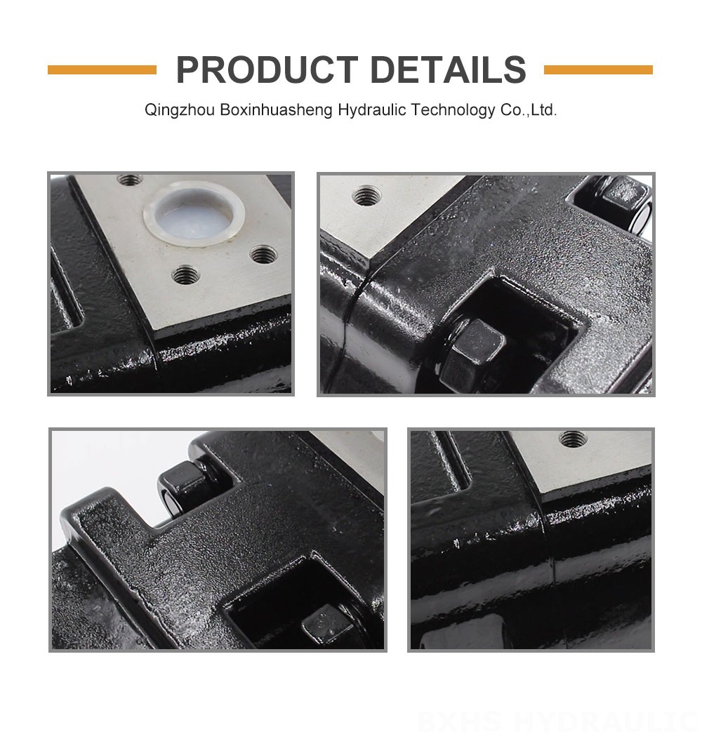 JHP2100-2080-1016 100 cc/rev Hydraulic Gear Pump detailed image