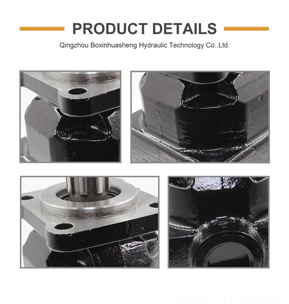 P6-40 40 cc/rev Hydraulic Piston Pump detailed image