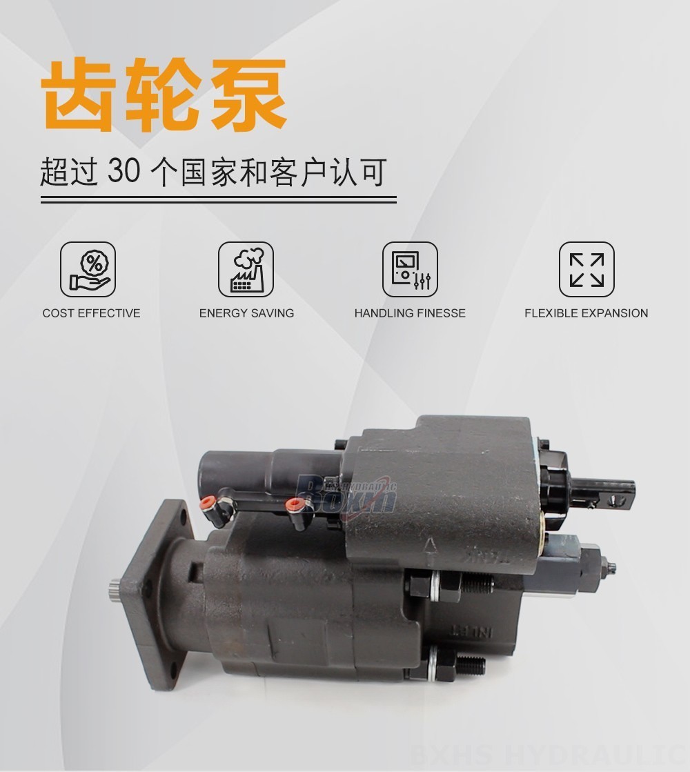 C102 100 毫升/转 20 MPa (2900 psi) 液压齿轮泵