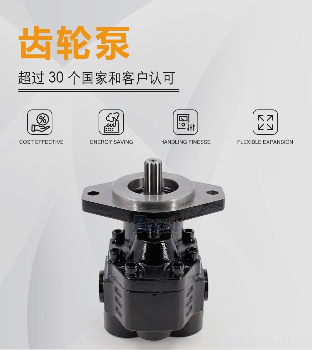 CBHL-2000 50 毫升/转 25 MPa (3625 psi) 液压齿轮泵