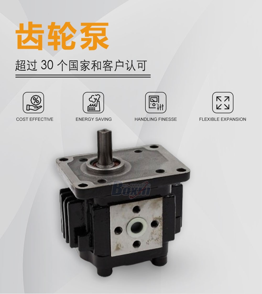 CBHS-F316 16 毫升/转 20 MPa (2900 psi) 液压齿轮泵