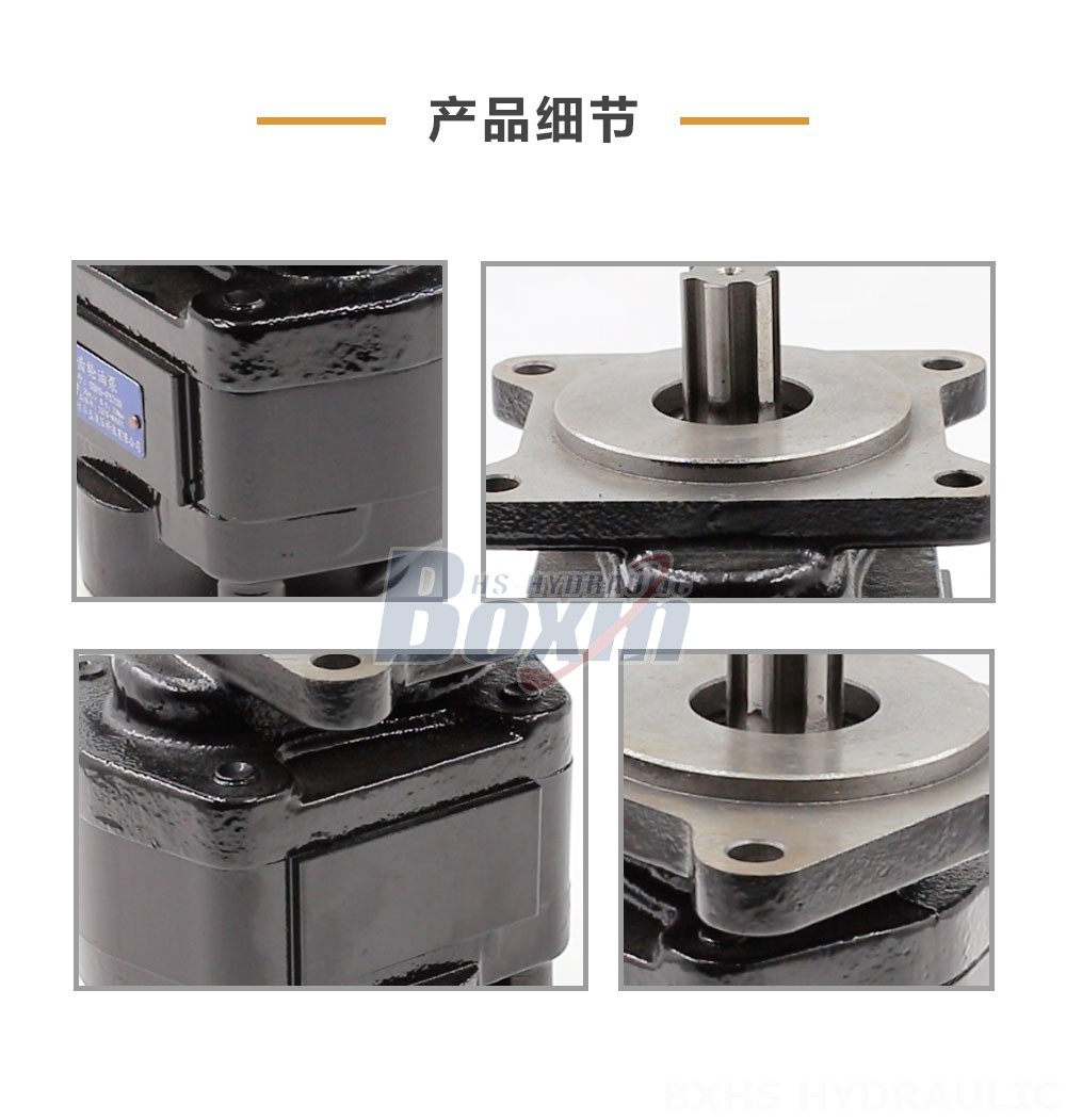 CBHS-F520R 20 毫升/转 20 MPa (2900 psi) 液压齿轮泵