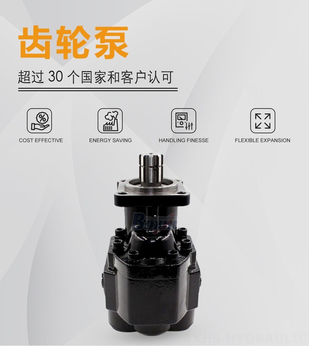 CBHST1-ISO-110 110 毫升/转 25 MPa (3625 psi) 液压齿轮泵
