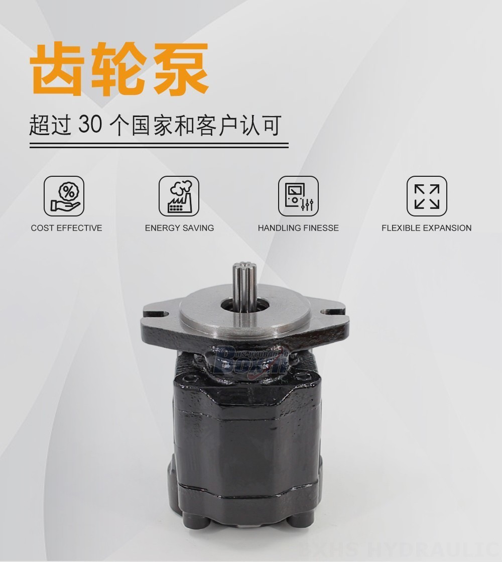 CBHZ-F20R 19.7 毫升/转 20 MPa (2900 psi) 液压齿轮泵