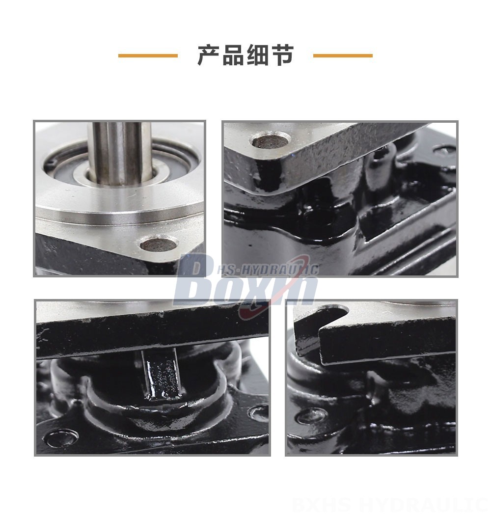 JHP2063 63 毫升/转 20 MPa (2900 psi) 液压齿轮泵