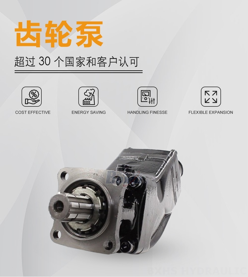 LB-80 80 毫升/转 31.5 MPa (4570 psi) 液压柱塞泵