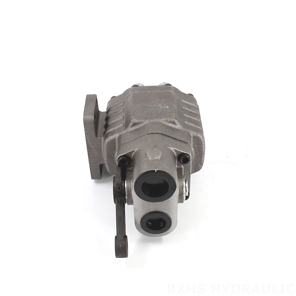 Direct from Manufacturer: BF110M 2900 psi Hydraulic Gear Pump image