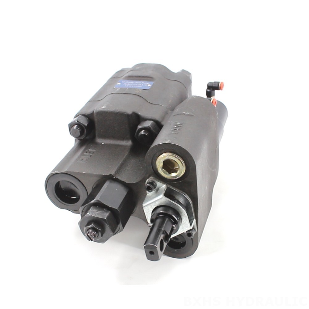 High-Performance C101-25-LAS Hydraulic Gear Pump - Global Manufacturer image