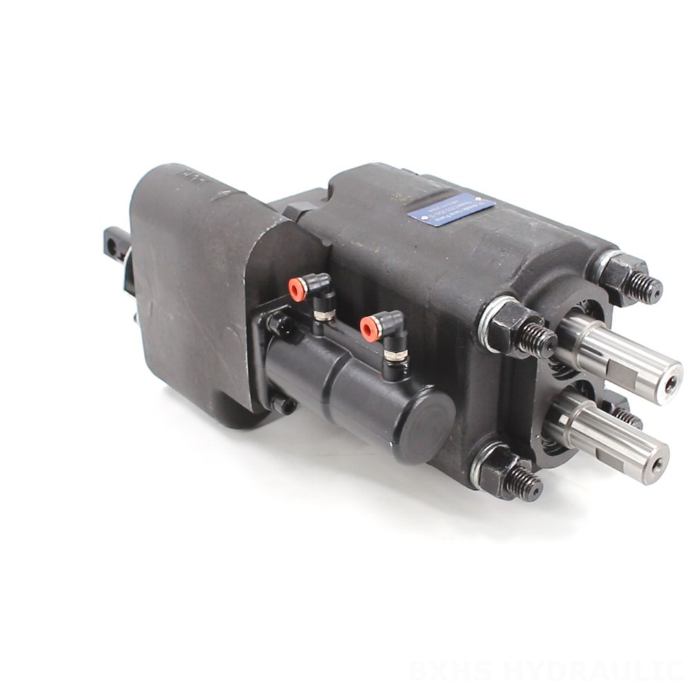 C101-25-LAS Hydraulic Gear Pump: OEM & ODM Services Available - Customization Options image