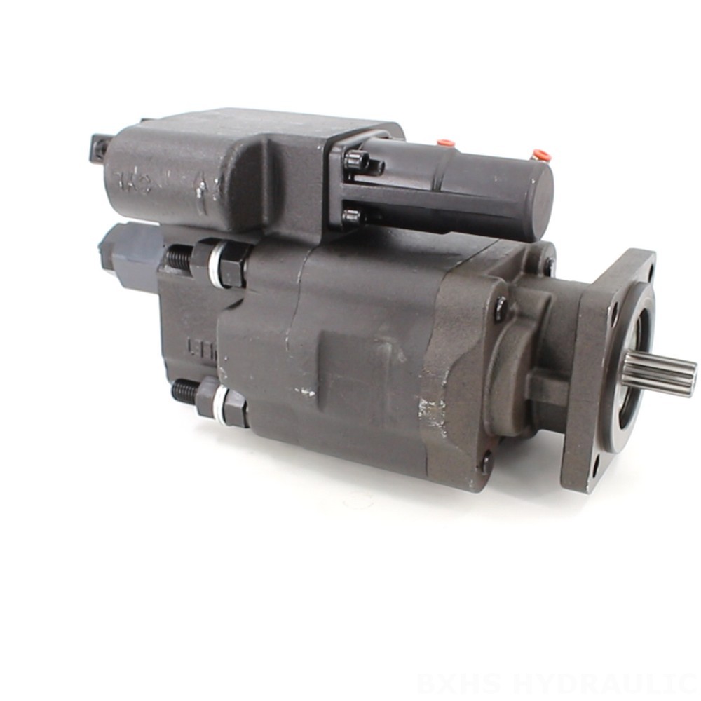 C102 112 cc/rev Hydraulic Gear Pump: OEM & ODM Services Available image