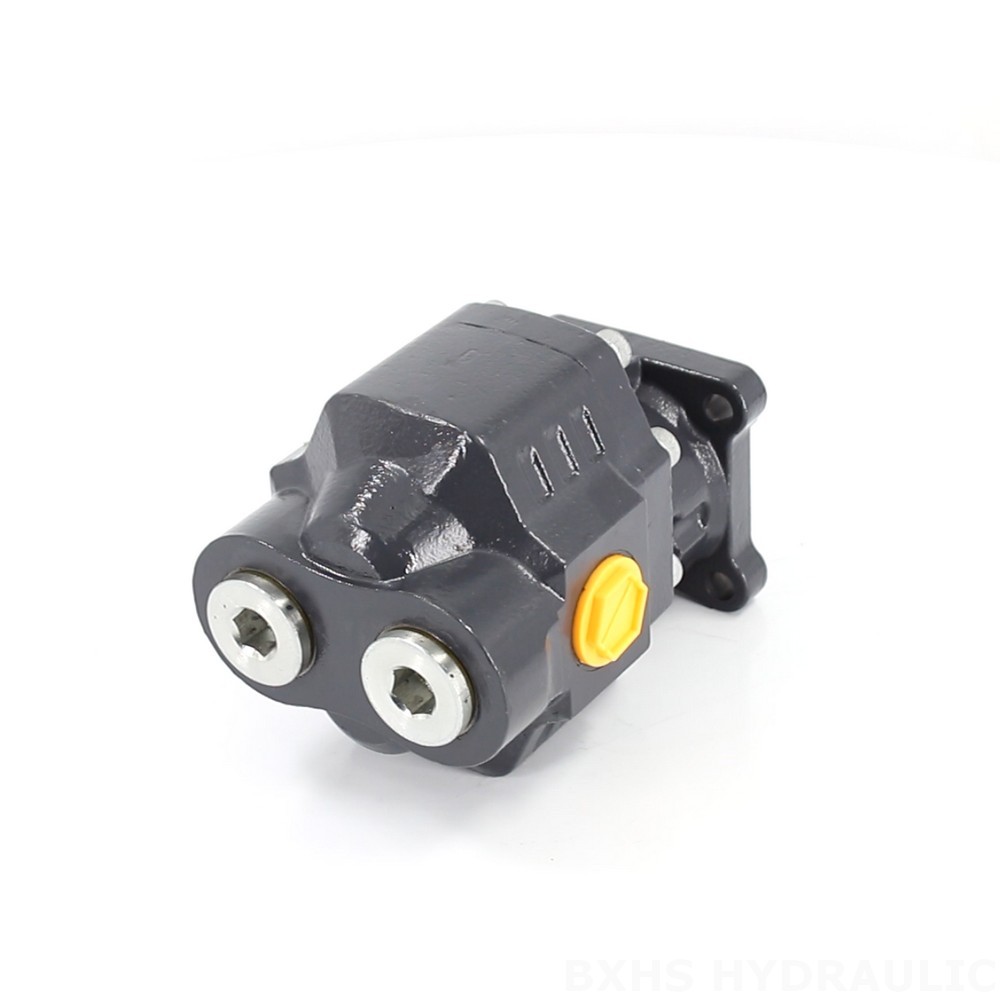 Durable 22 MPa (3190 psi) Hydraulic Gear Pump - Model CBHW-ISO-80-H image