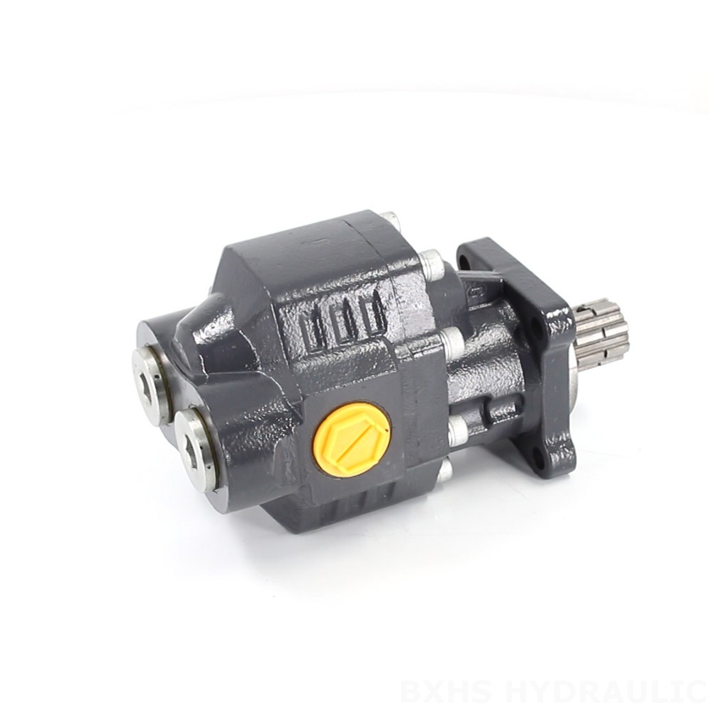 Precision Engineered 3190 psi Hydraulic Gear Pump for Machinery image