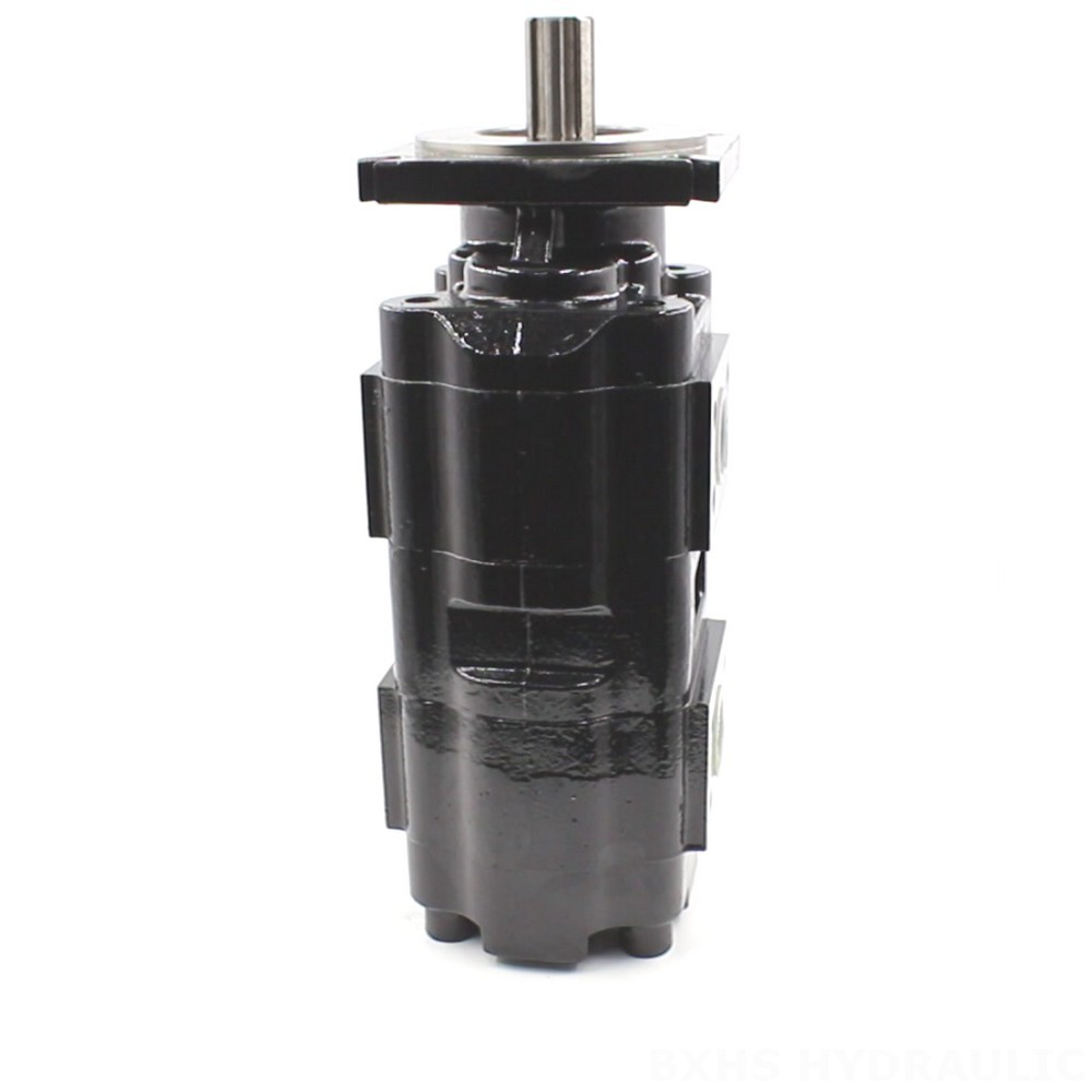 JHP2080-2080 Hydraulic Gear Pump: OEM & ODM Services Available image