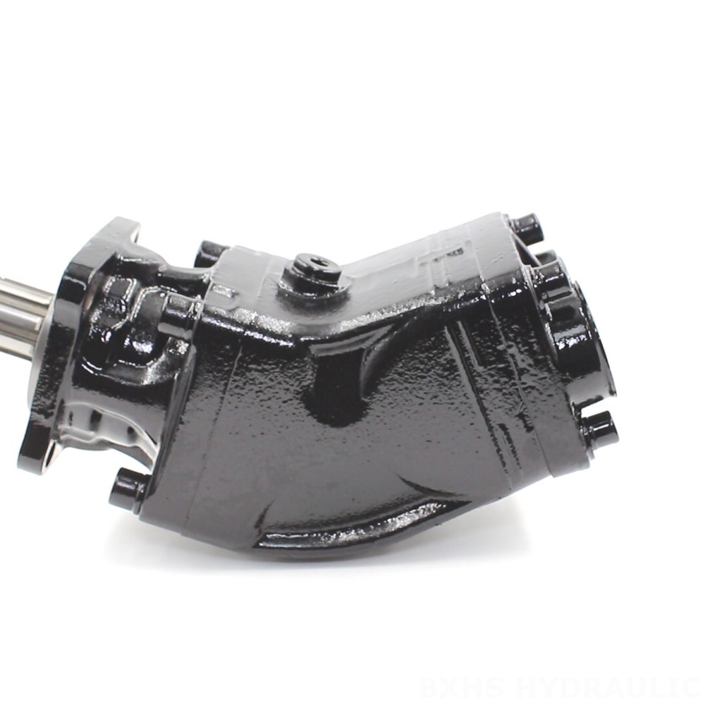Direct from Factory: LB-63 63 cc/rev Hydraulic Piston Pumps image