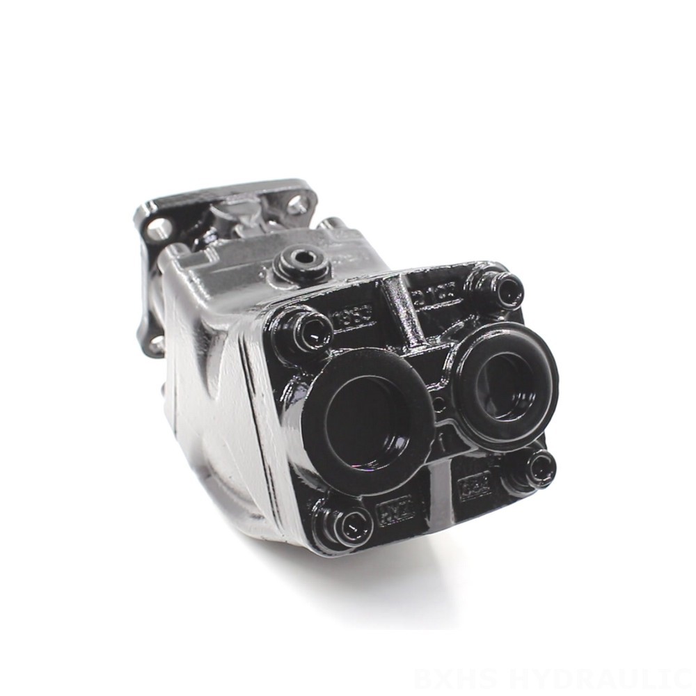 LB-63 63 cc/rev Hydraulic Piston Pump: OEM & ODM Services Available image