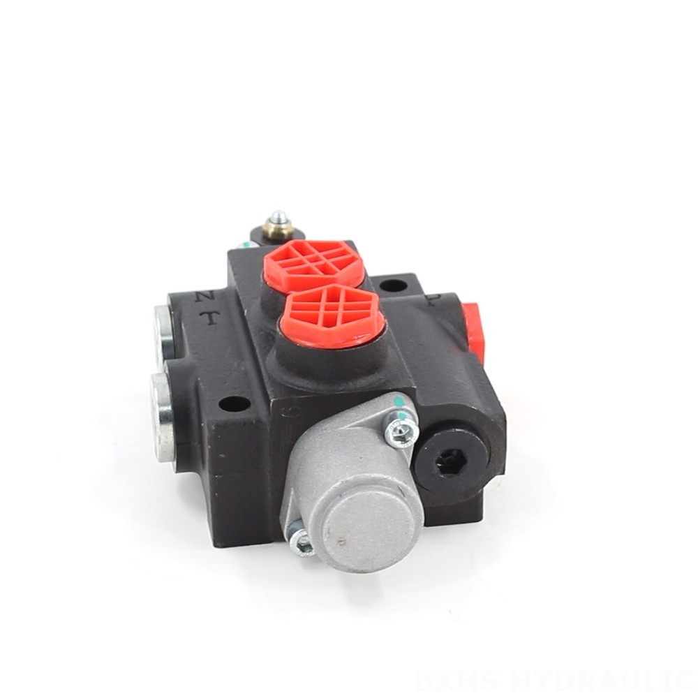 1 Spool Monoblock Valve, P40-201: Manufacturer & Distributor image