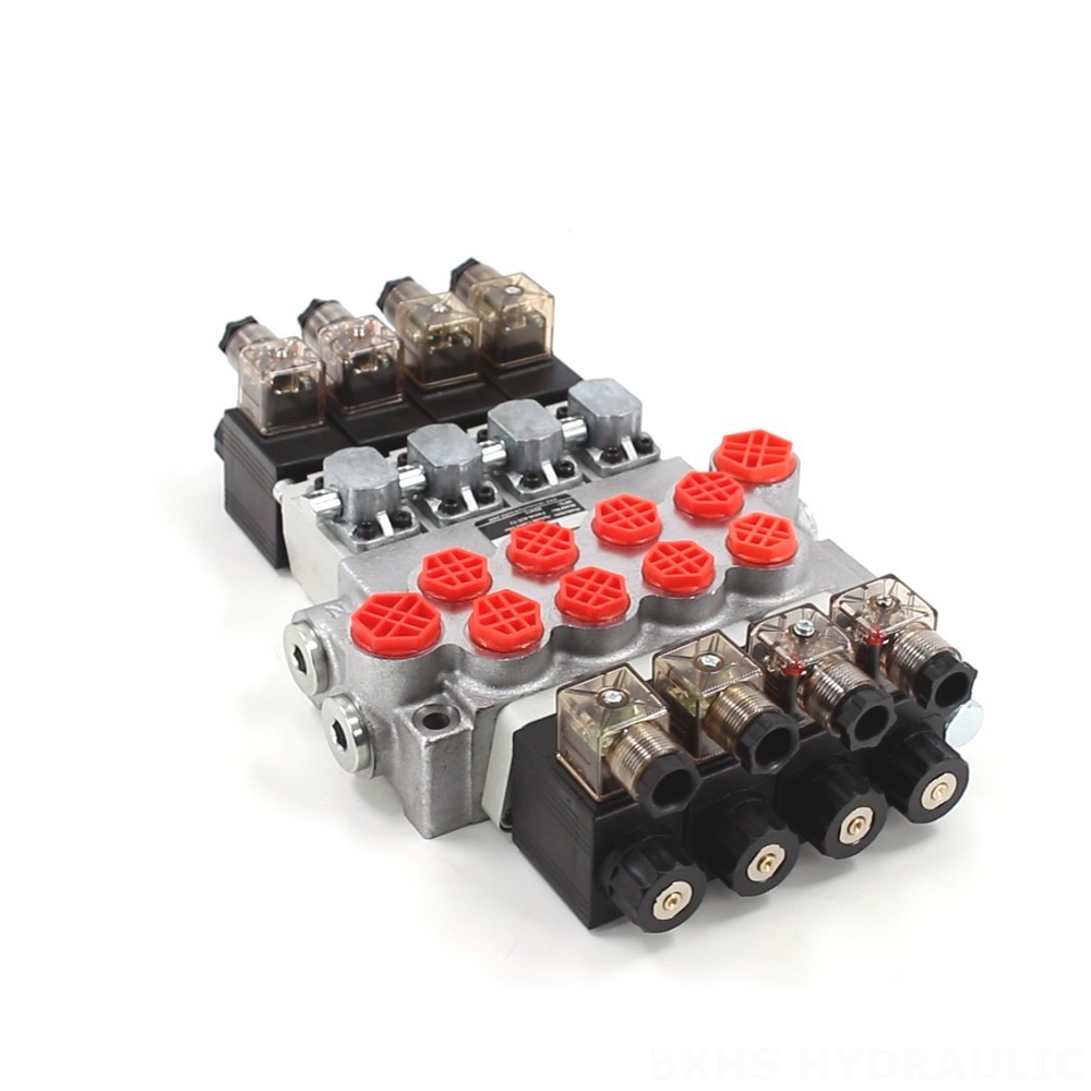 P40-DS Solenoid Valve: Factory Direct Supply, Competitive Pricing image