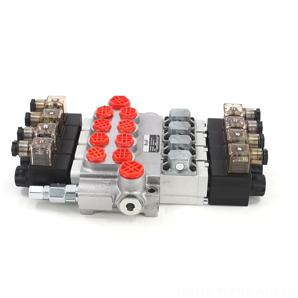 Partner with Us: P40-DS Monoblock Valve Manufacturing & Distribution Opportunities image