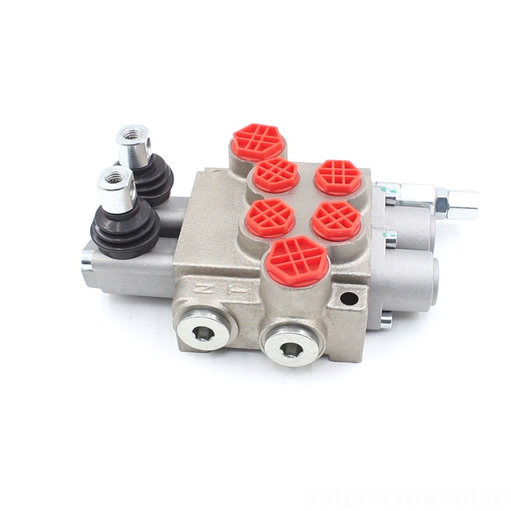 P40-XNHJ Manual 2 Spool Monoblock Directional Valve: OEM & ODM Services Available image