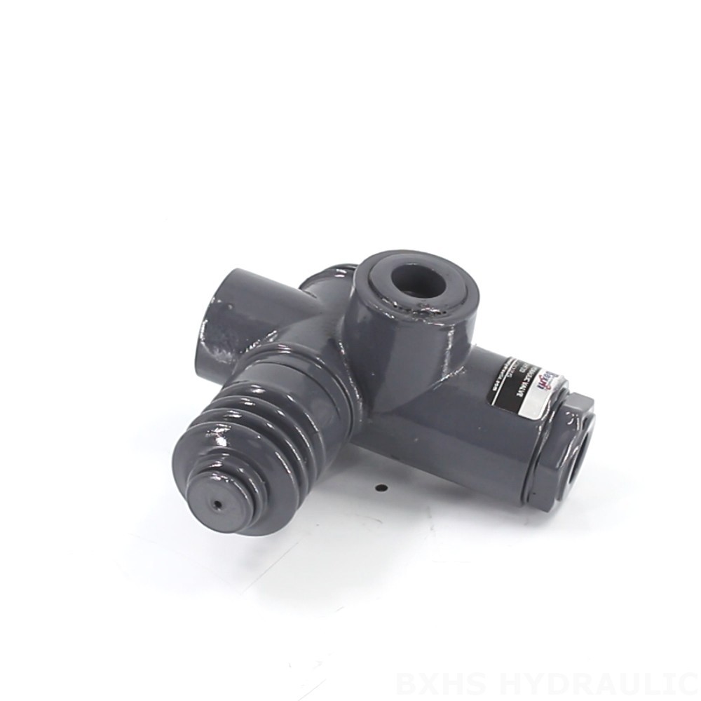 Reliable QHF20 Manual 1 Spool Monoblock Directional Valve for Diverse Applications image
